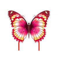 Dětský drak - Motýl růžovočerný