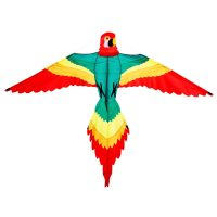 Velký létající drak - Papoušek