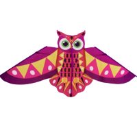 Létající drak - Barevná sova