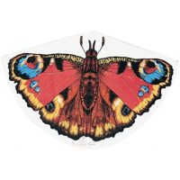 Dětský drak - Motýl
