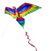 Létající drak - Barevný papoušek