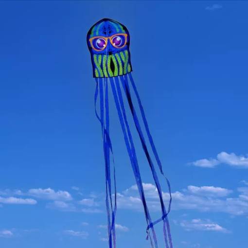 Foto - Dětský drak - Chobotnice s brýlemi