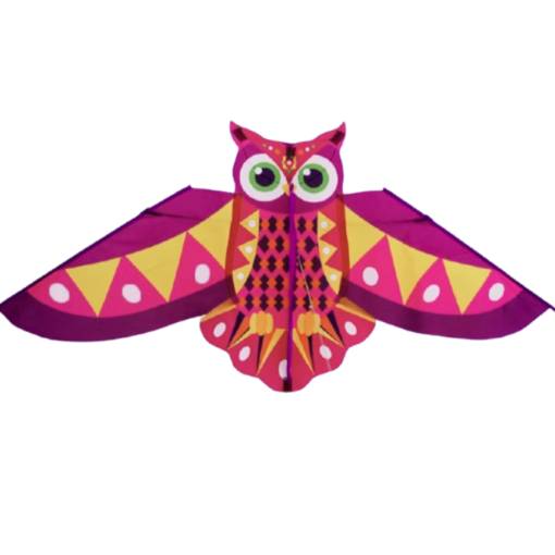 Foto - Létající drak - Barevná sova