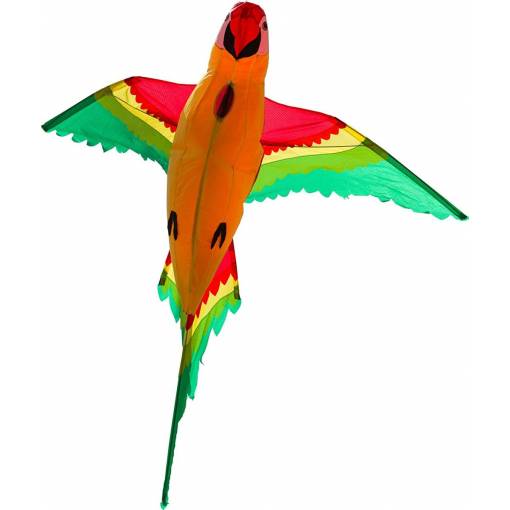 Foto - 3D létající drak - Papoušek