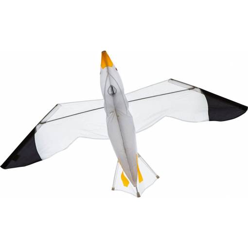 Foto - 3D létající drak - Racek