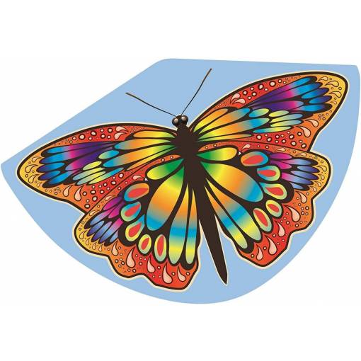Foto - Dětský drak - Papillon